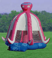octopussbounce.jpg